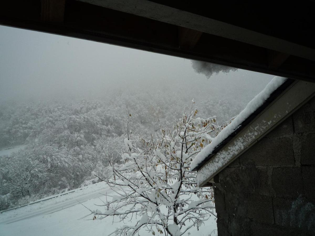 Les Chalets D'Aure. 阿拉纽埃 外观 照片